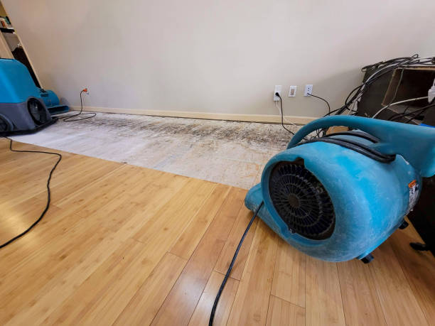 Professional Water Damage Repair technician working in Canal Fulton, OH
